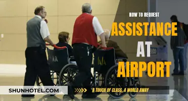 Asking for Help at the Airport: A Traveler's Guide
