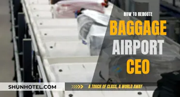 Efficient Baggage Rerouting Strategies for Airport CEOs