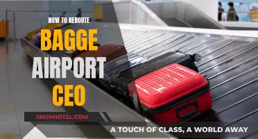 Transforming Bagge Airport: A CEO's Guide to Rerouting Success