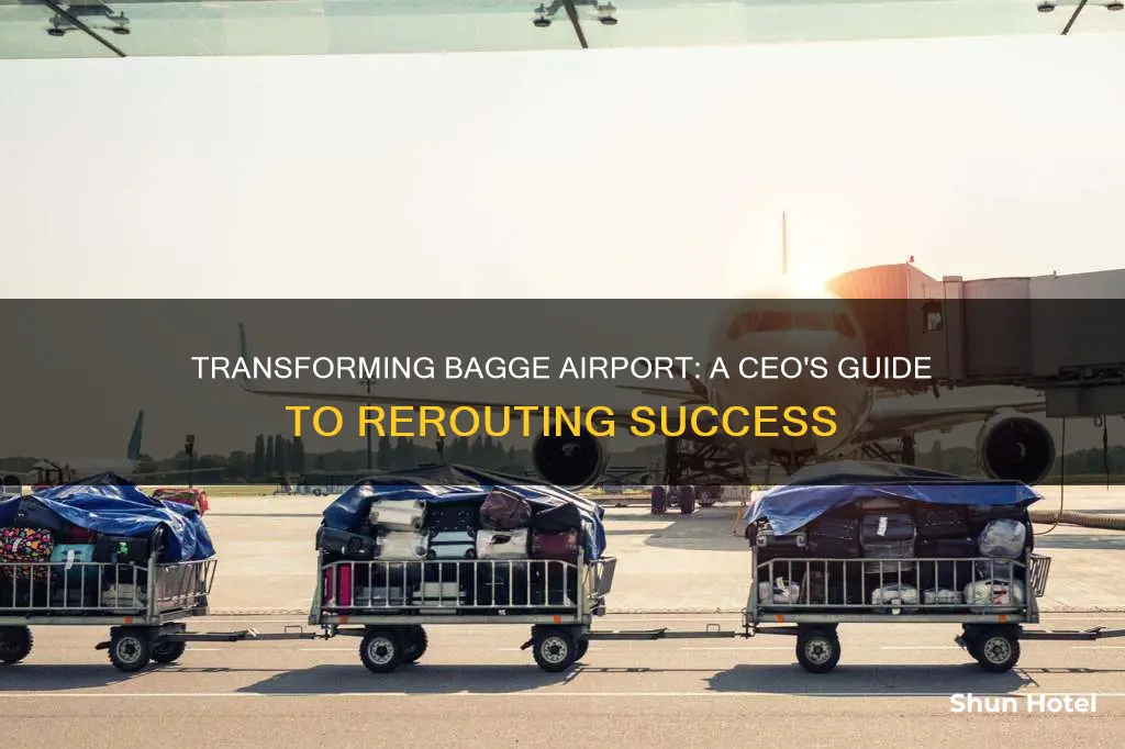 how to reroute bagge airport ceo