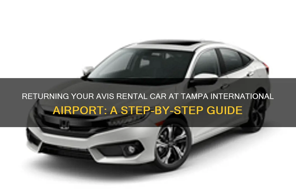how to return a rental to tampa international airport avis