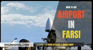 Learn to Speak Farsi: Navigating Airports and Beyond