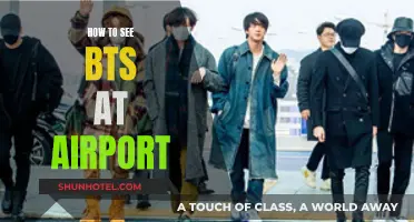 Strategies to Spot BTS at the Airport
