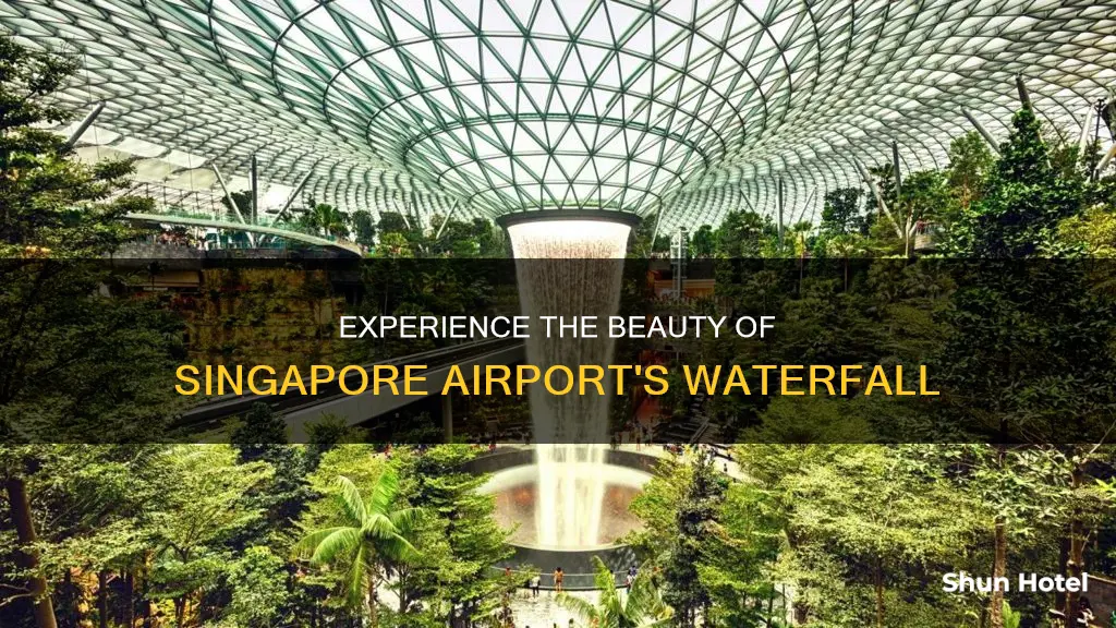 how to see singapore airport waterfall
