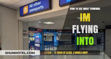 Quick Guide: Identifying Your Arrival Terminal at the Airport