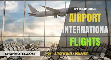 Efficient Airport Navigation: Tips to Bypass Long Lines on International Flights