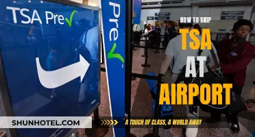 Skip TSA Lines: Tips for a Smooth Airport Experience
