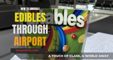 A Sneaky Traveler's Guide: Smuggling Edibles Through Airports