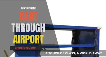 Sneaking Carts Through Airport: A Step-by-Step Guide