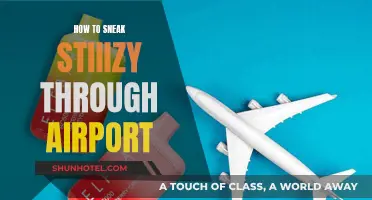 Sneaking Stiiizy: Airport Security and Your Vape