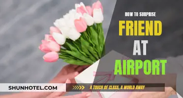 A Friend's Delight: Creative Airport Surprises