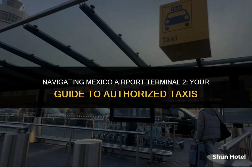 how to take authorized taxi mex airport terminal 2