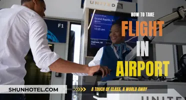 Navigating Airports: Taking Flight with Confidence and Ease