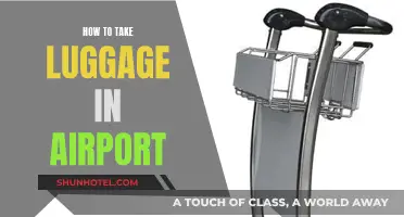 Airport Luggage: Efficient Packing and Navigation Tips