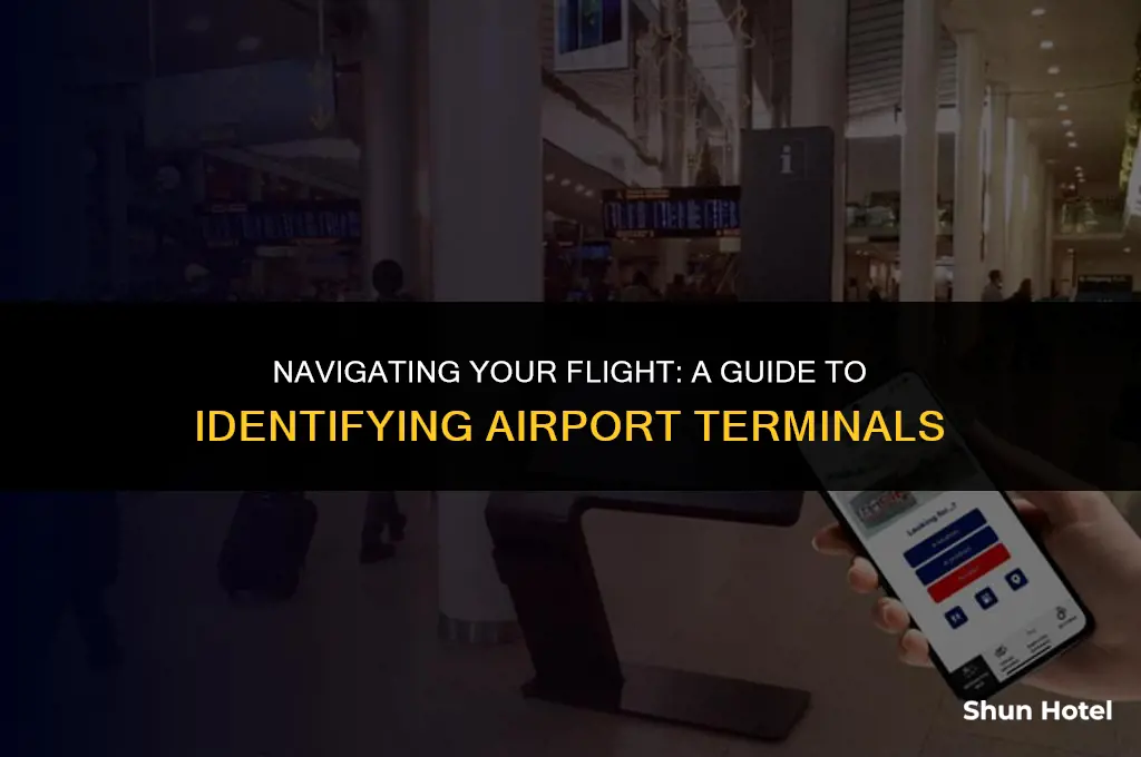 how to tell what airport terminals my flight is