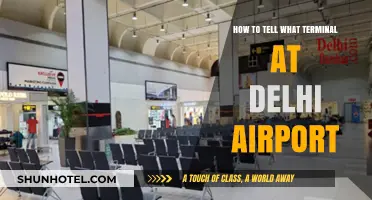 Navigating Delhi Airport: A Guide to Identifying Your Terminal