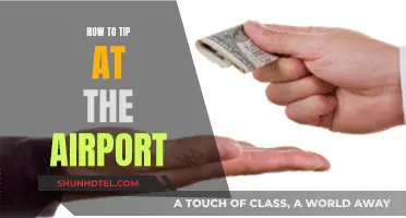 Tipping Etiquette: Navigating Airport Tips