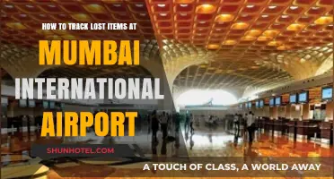 Efficiently Locate Lost Belongings at Mumbai International Airport: A Guide