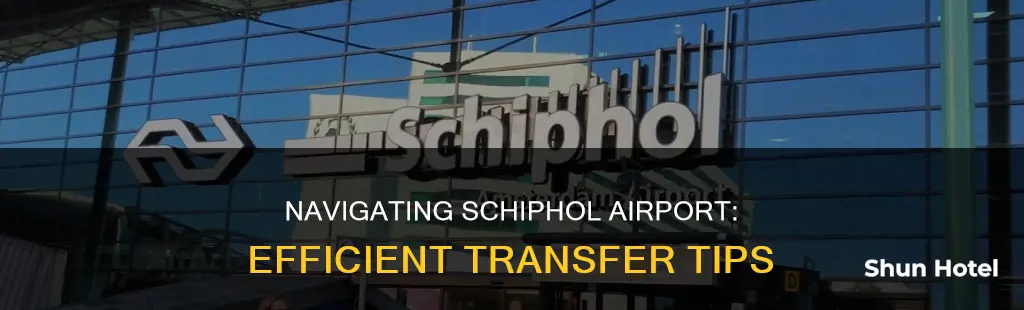 how to transfer at schiphol airport