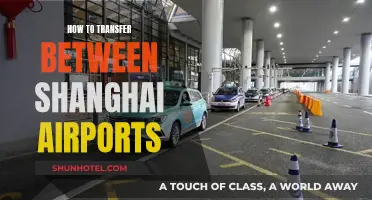 Navigating Shanghai's Airports: Transfer Tips and Tricks