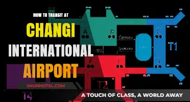 Mastering Your Layover: A Smooth Transit Guide at Changi Airport