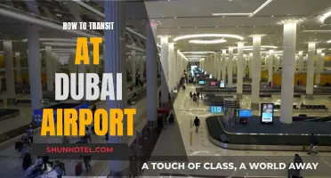Navigating Dubai Airport: A Seamless Transit Guide