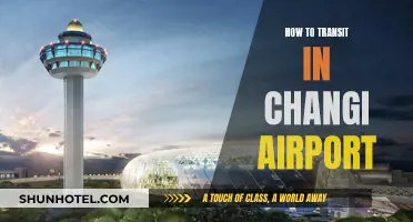Navigating Changi Airport: A Guide to Smooth Transits