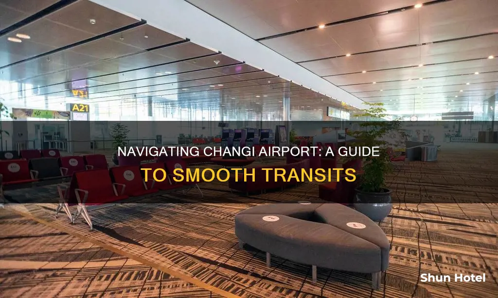 how to transit in changi airport