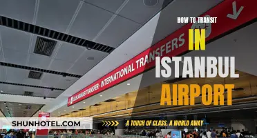 Navigating Istanbul Airport: Efficient Transit Tips and Tricks