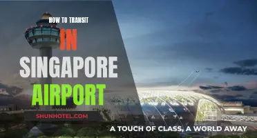 Navigating Singapore Airport: A Guide to Smooth Transit