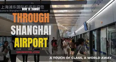 Navigating Shanghai Airport: A Step-by-Step Guide