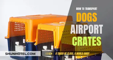 Air Travel With Dogs: Crate Transportation Tips