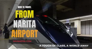 Travel Guide: Narita Airport to Your Destination