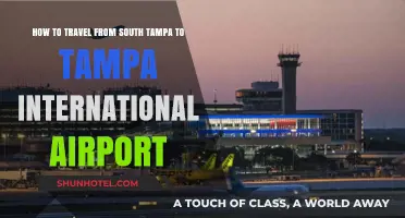Quick Guide: South Tampa to Tampa International Airport Travel Tips