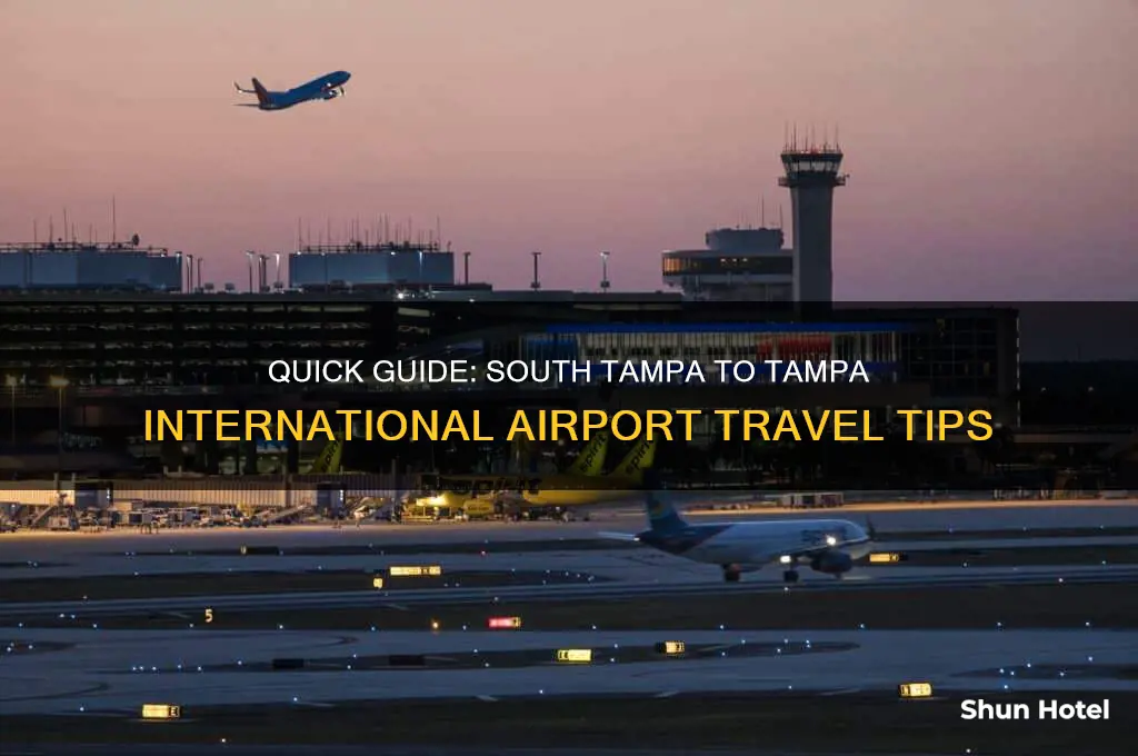 how to travel from south tampa to tampa international airport