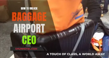 Unlocking Baggage: Airport CEO Tips and Tricks
