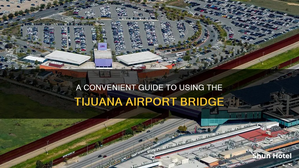 how to use tijuana airport bridge