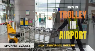 Navigating the Airport: Efficient Trolley Usage