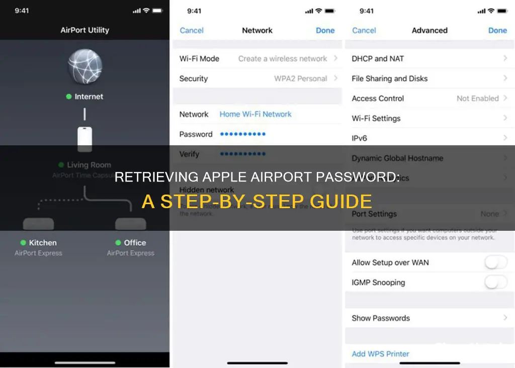 how to view apple airport password