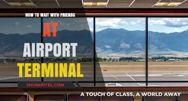 Efficiently Waiting at the Airport Terminal with Friends