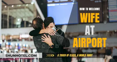 A Heartwarming Airport Homecoming for Your Wife