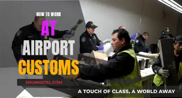A Career in Airport Customs: What You Need to Know
