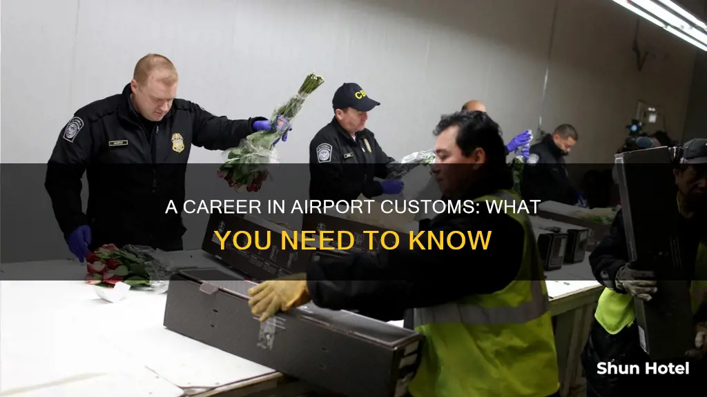 how to work at airport customs