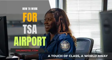 Join the TSA: A Guide to Airport Security Careers