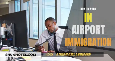 Airport Immigration Careers: Requirements and Challenges