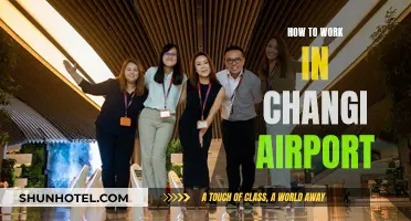 Working in Changi Airport: A Step-by-Step Guide