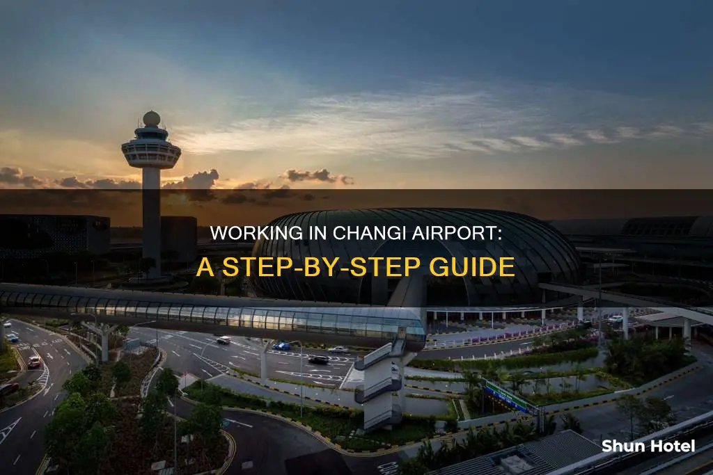 how to work in changi airport