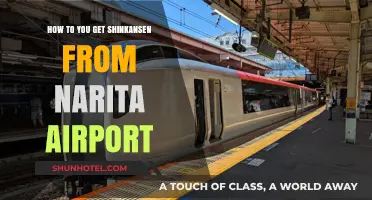 Traveling from Narita Airport to Shinkansen: A Quick & Easy Guide
