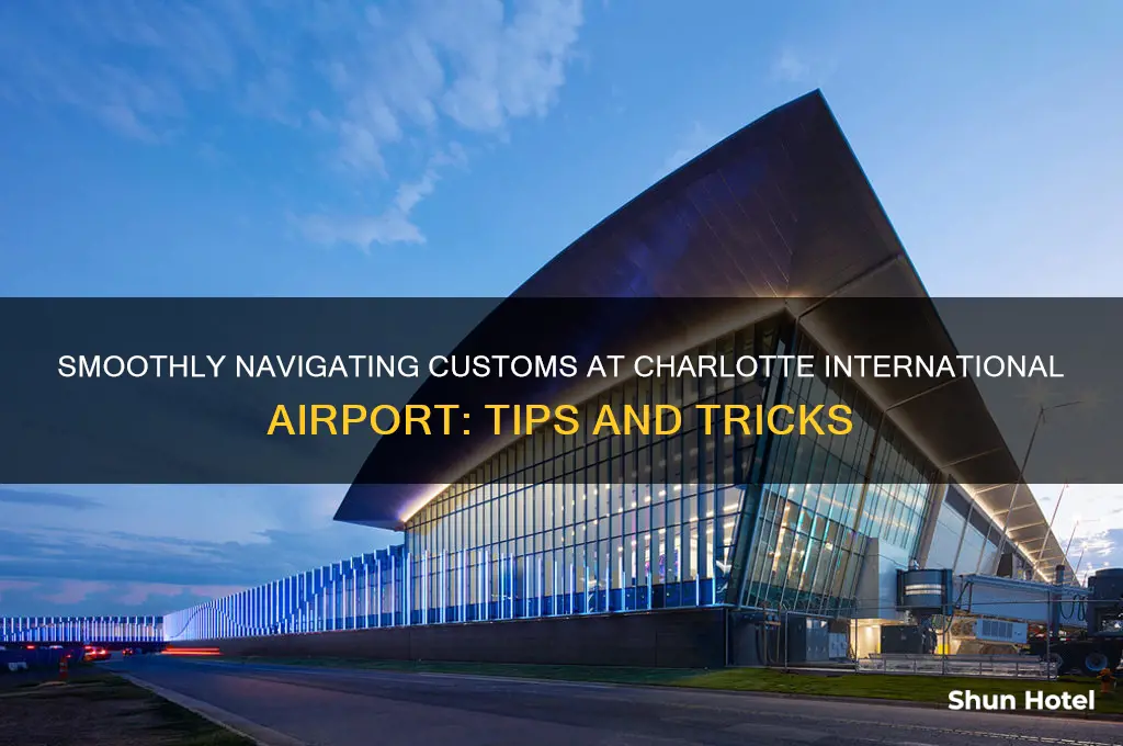 how tobget through customs at charlotte international airport