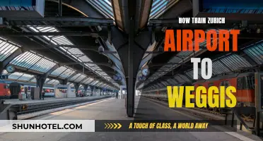 Travel Guide: Zurich Airport to Weggis by Train